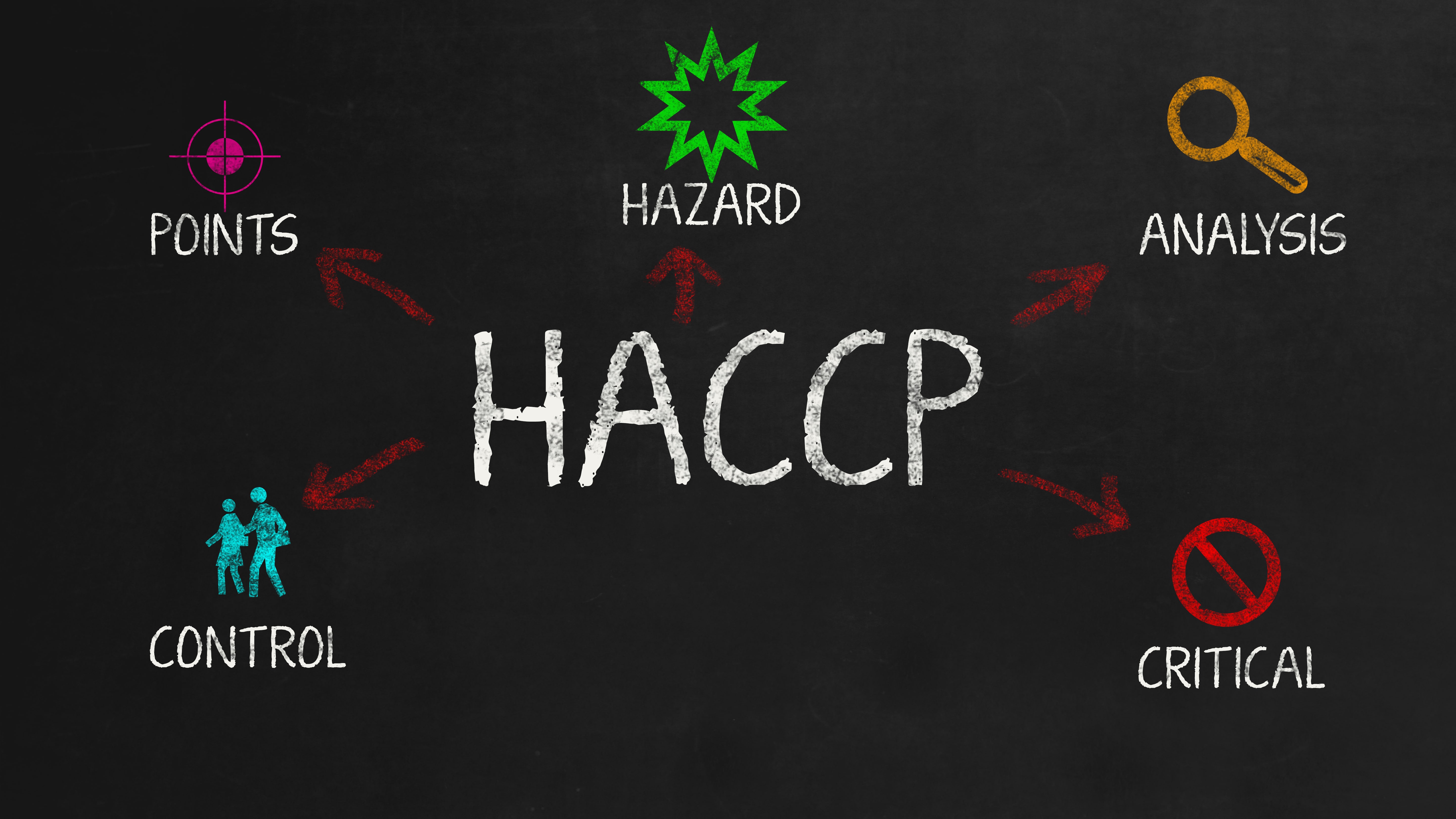 Critical control points. ХАССП. ХАССП картинки. Аудит ХАССП. ХАССП картинки для презентации.