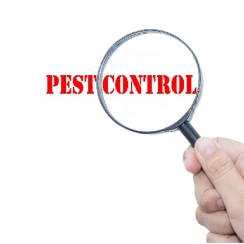 Pestcontrol_die_psd